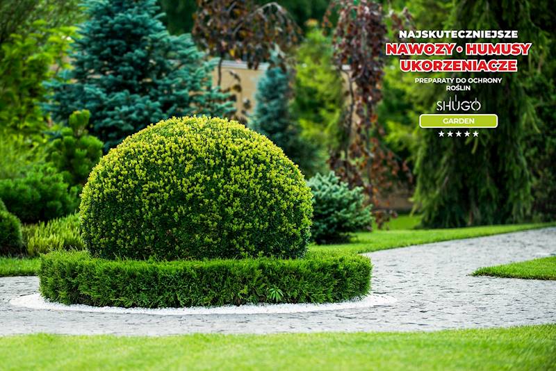 Nawóz do Bukszpanów Premium 1kg