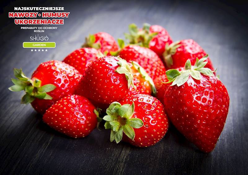 Nawóz do Truskawek Premium 10kg