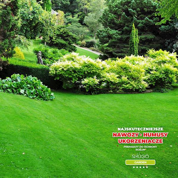 Nawóz do Traw Boisk Pól Golfowych Premium 1kg