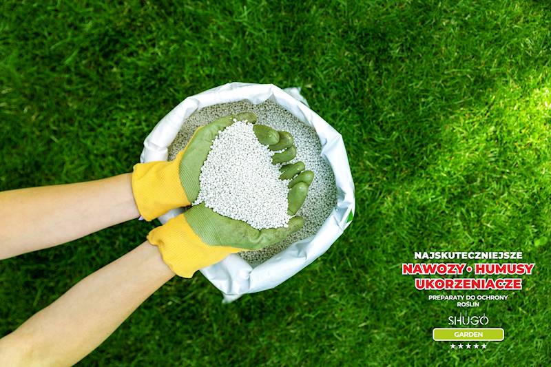 Nawóz do Traw Boisk Pól Golfowych Premium 10kg