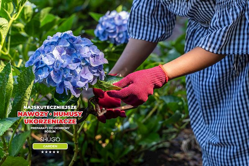 Nawóz do Rododendronów i Hortensji Premium 25kg