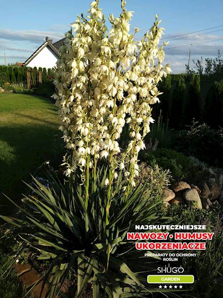 Nawóz do Kwiatów Premium 5kg