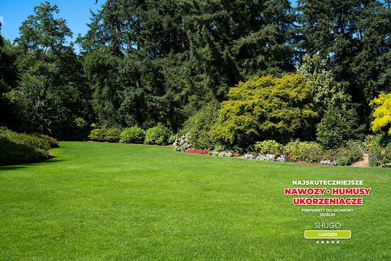 Nawóz do Traw Boisk Pól Golfowych Premium 5kg