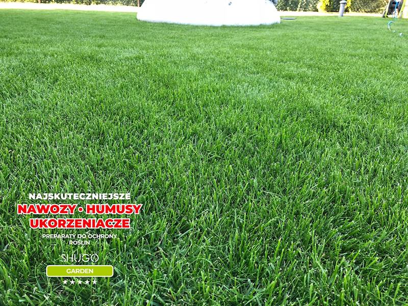 Nawóz do Traw Boisk Pól Golfowych Premium 10kg
