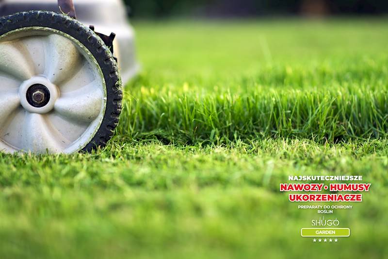 Nawóz do Traw Boisk Pól Golfowych Premium 1kg