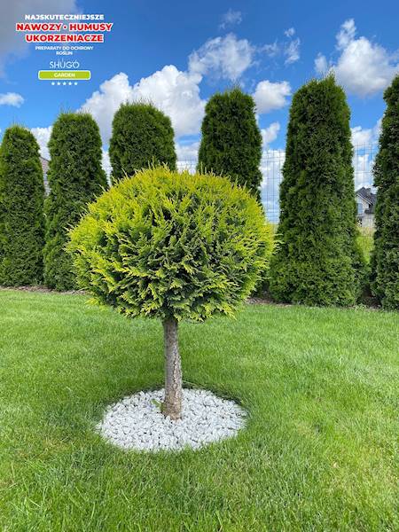 Nawóz Saletra Magnezowa 5kg