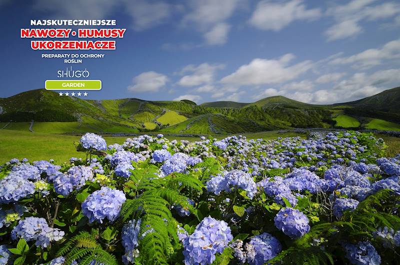 Nawóz do Rododendronów i Hortensji Premium 10kg