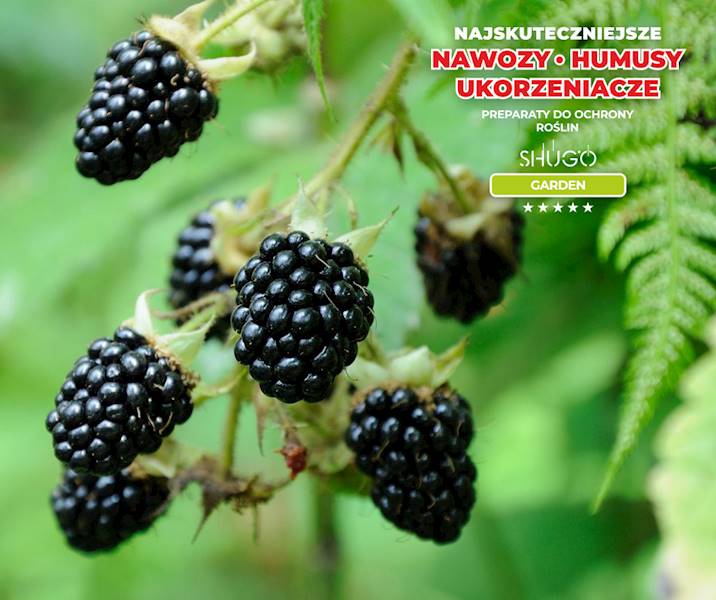 Nawóz do Owoców Premium 25kg