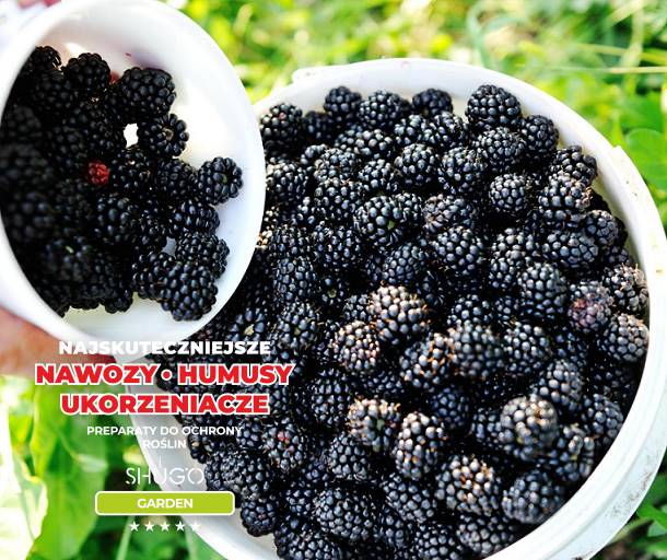 Nawóz do Owoców Premium 25kg