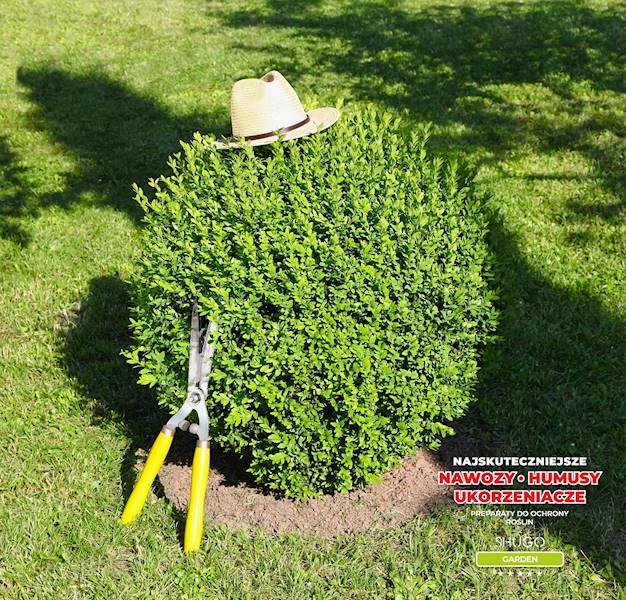 Nawóz do Bukszpanów Premium 5kg