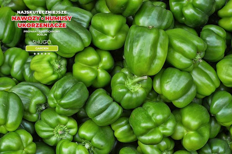 Nawóz do Warzyw Premium 10kg
