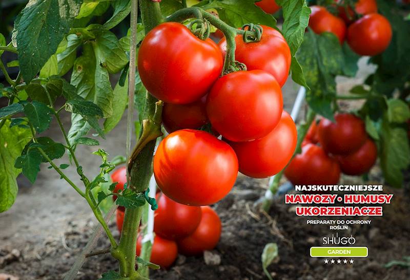 Nawóz do Szklarni Premium 10kg