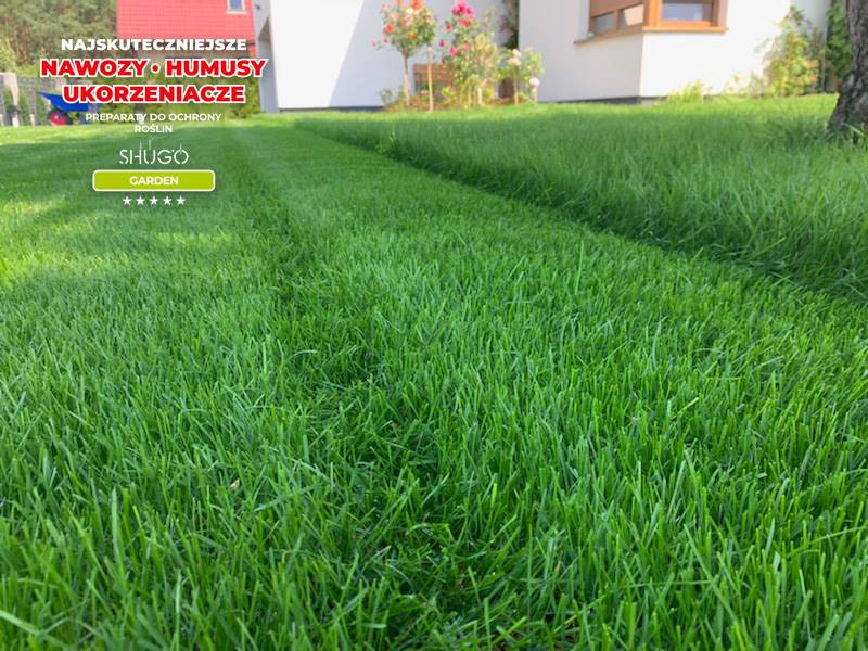 Nawóz do Wszystkich Gatunków Traw Uniwersalny 10kg