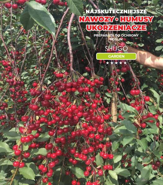 Nawóz do Owoców Premium 10kg