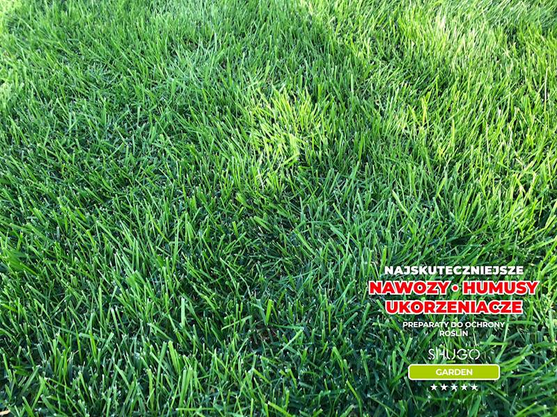 Nawóz do Traw Boisk Pól Golfowych Premium 25kg