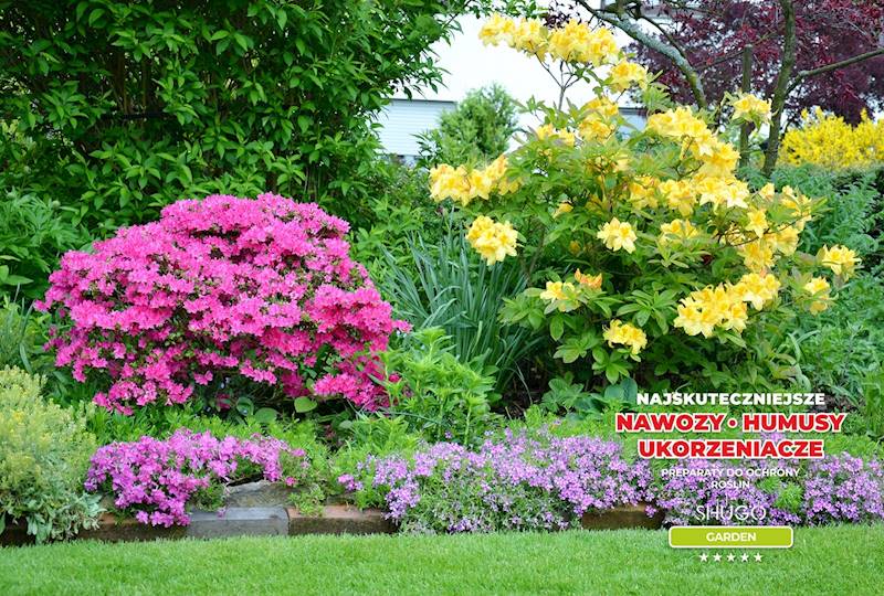 Nawóz do Magnolii i Azalii Premium 5kg