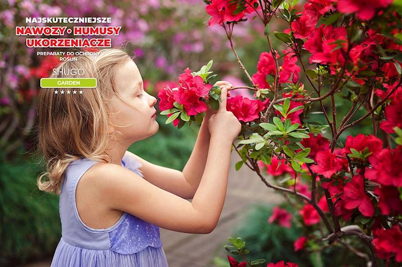 Nawóz do Magnolii i Azalii Premium 1kg