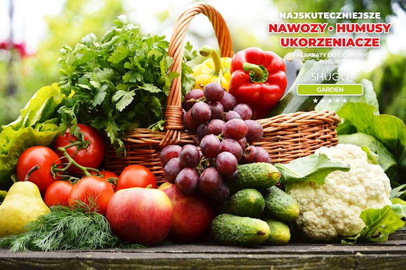 Nawóz do Warzyw Premium 25kg
