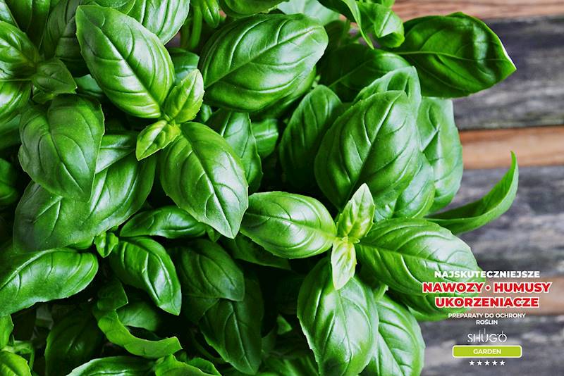 Nawóz Uniwersalny Premium 10kg