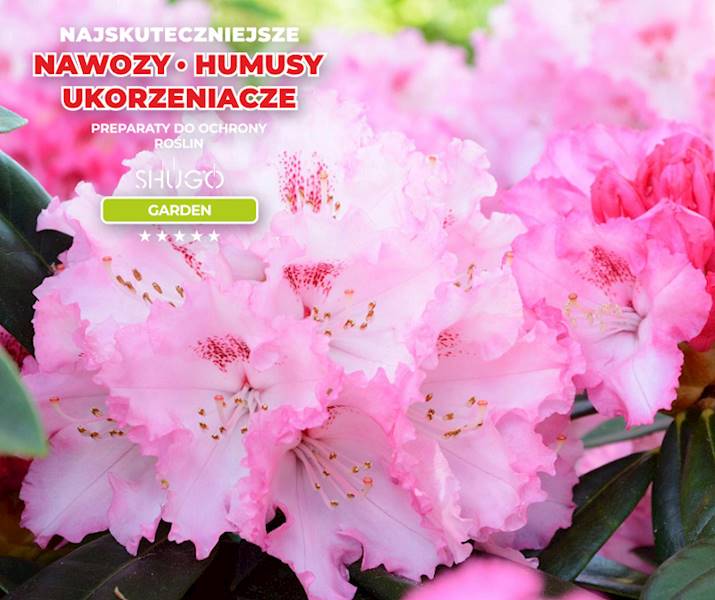 Nawóz do Rododendronów i Hortensji Premium 15kg
