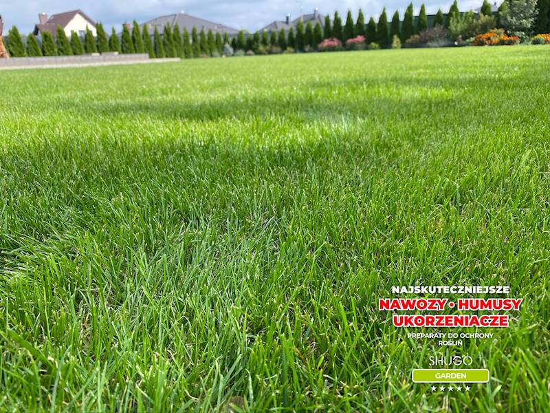 Nawóz do Traw Boisk Pól Golfowych Premium 15kg