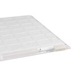 BLINGO 34W 4080 60NW