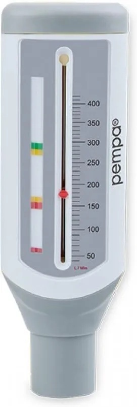 Pikflometr dla dzieci PEMPA