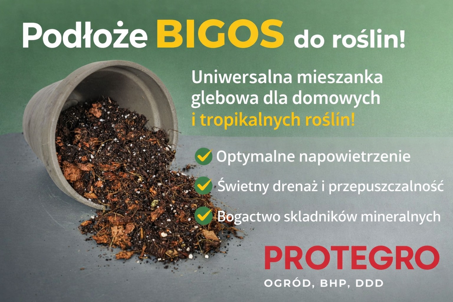 bigos.jpg