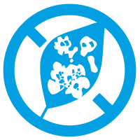 Program ochrony cebuli przed Stemphylium