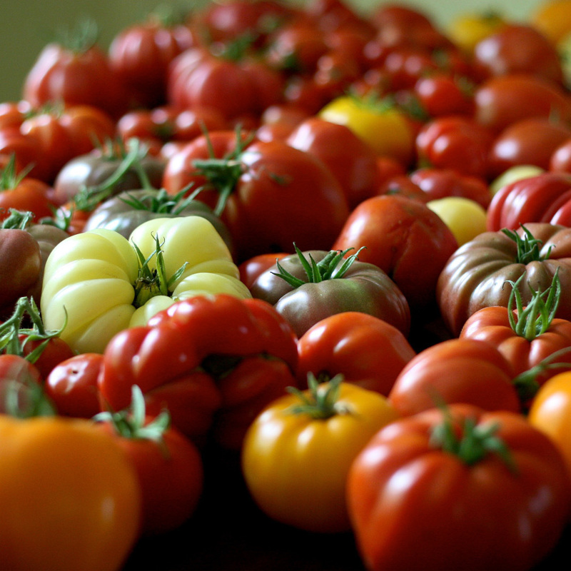 Zwiększ swoje plony!