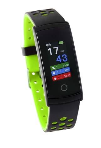 TIMEMASTER SMARTBAND SW-008/01