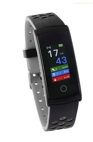 TIMEMASTER SMARTBAND SW-008/01
