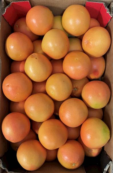 GRAPEFRUIT CZERWONY POCH. TURCJA
