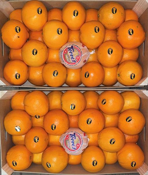 POMARAŃCZ KL. I POCH. HISZPANIA