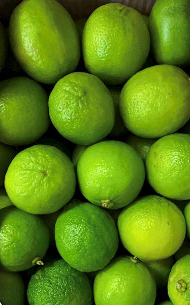 LIMONKA POCH. PERU