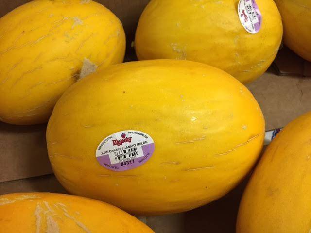 MELON ŻÓŁTY POCH. BRAZYLIA