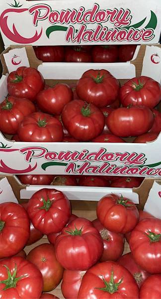 POMIDORY    MALINOWE 3B  KL. I   POCH. POLSKA