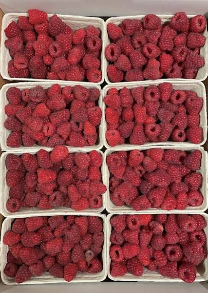 MALINY 250G POCH. POLSKA