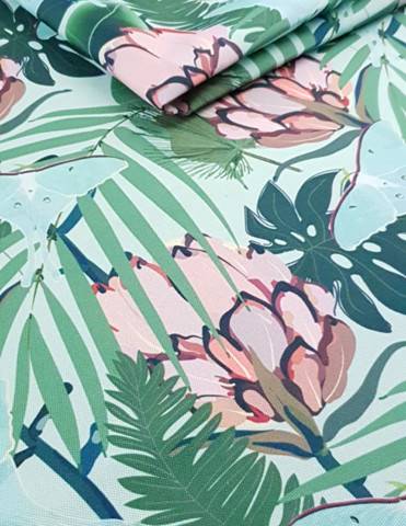 Protea 02