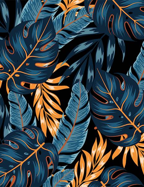 Monstera 03