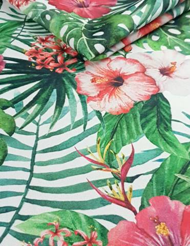 Hibiskus 01