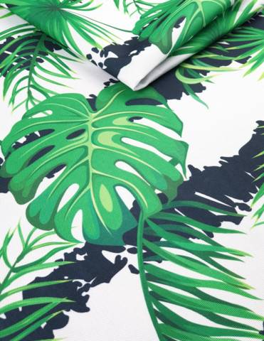 Monstera 05