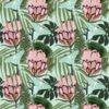 Protea 02