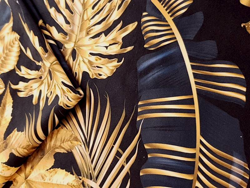 Monstera 02