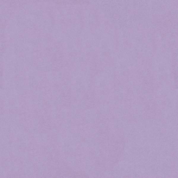 Venus Velvet 2939
