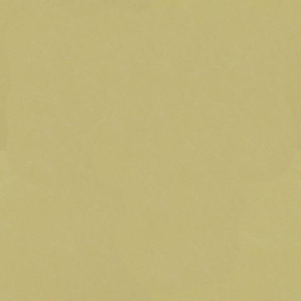 Venus Velvet 2937