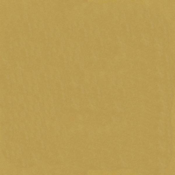 Venus Velvet 2936