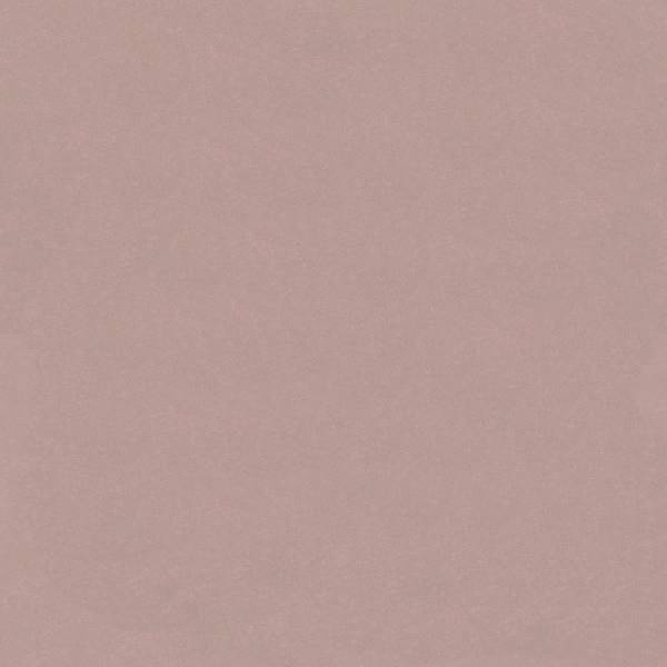 Venus Velvet 2934