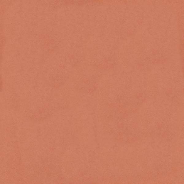Venus Velvet 2933