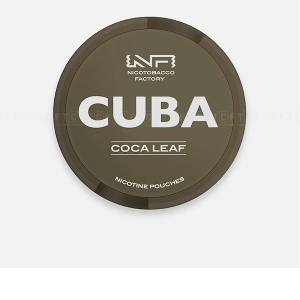 WORECZKI NIKOT. CUBA COCA LEAF 77MG
